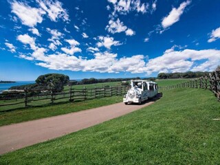 Appartement Valbandon Omgeving 28