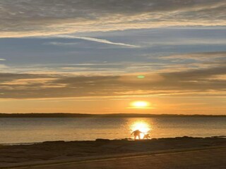 Apartamento Valbandon Entorno 9