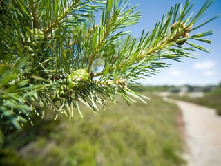 Casa per le vacanze Schoorl Ambiente 19