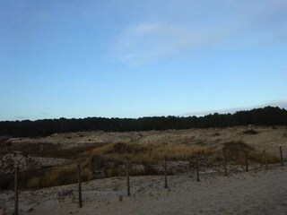 Appartement Biscarrosse-Plage  5