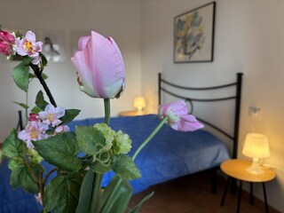 Holiday apartment Tignale Features 14