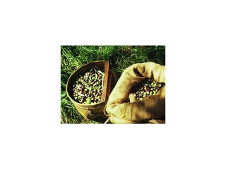 Schöner Platz - Prabione Apartement Leccino