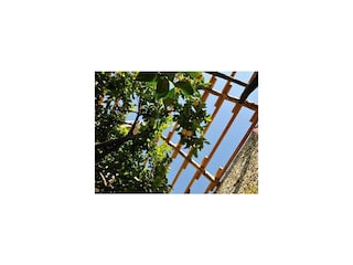 Schöner Platz - Prabione Apartement Leccino