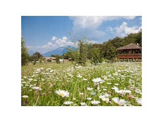 Schöner Platz - Prabione Apartement Leccino