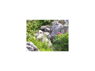 Schöner Platz - Prabione Apartement Leccino