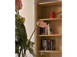 Schöne Ferienwohnung Hegos