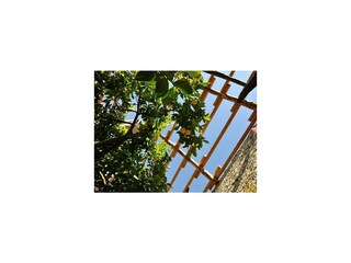 Schöne Ferienwohnung Hegos