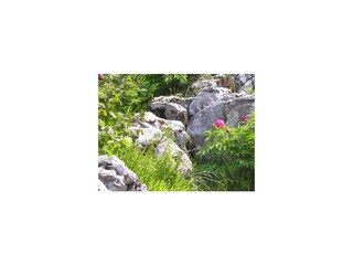 Schöne Ferienwohnung Hegos