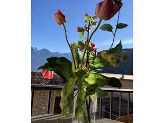 Schöne Ferienwohnung Hegos