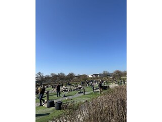 Wikinger-Golf