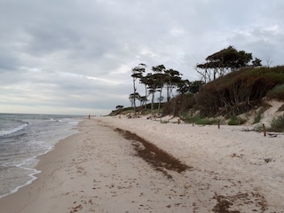 Weststrand