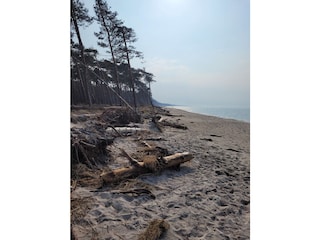 Ferienwohnung Prerow Umgebung 23