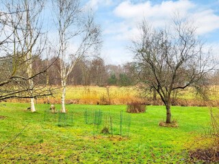 Ferienhaus Vejby Strand Außenaufnahme 3