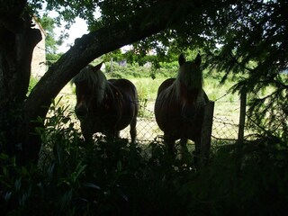 Casa per le vacanze Le Quartier Registrazione all'aperto 2