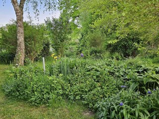 Holiday house Le Quartier Outdoor Recording 8