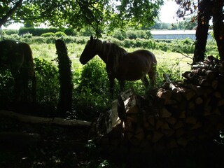 Maison de vacances Le Quartier Environnement 28