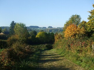 Ferienhaus Le Quartier Umgebung 34