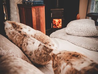 Holiday house Holsworthy Features 19