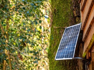 Ferienhaus Holsworthy  22