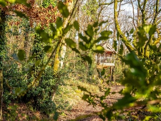 Holiday house Holsworthy Outdoor Recording 3