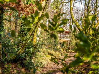 Vakantiehuis Holsworthy Buitenaudio-opname 9