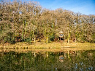 Vakantiehuis Holsworthy Buitenaudio-opname 12