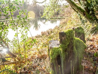 Casa per le vacanze Holsworthy Registrazione all'aperto 13