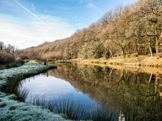Ferienhaus Holsworthy Außenaufnahme 15