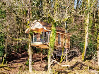 Ferienhaus Holsworthy Außenaufnahme 16