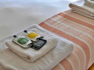 Holiday cottage Llanrwst Features 31