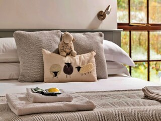 Holiday cottage Llanrwst Features 32