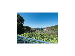 Appartement Molunat  16