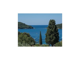 Apartment Molunat  19