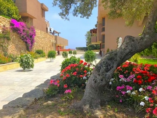 Apartment Porto Rotondo Outdoor Recording 9