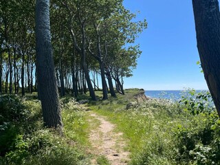 Maison de vacances Bagenkop  36