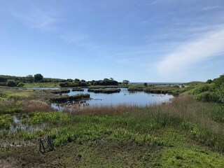 Casa per le vacanze Bagenkop  20