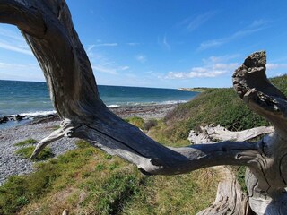 Ferienhaus Bagenkop  23