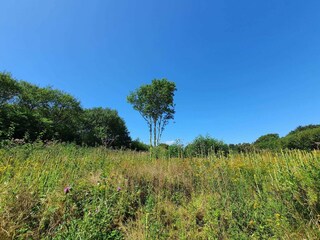 Casa per le vacanze Bagenkop  35