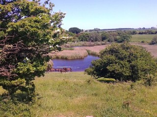 Holiday house Bagenkop  36