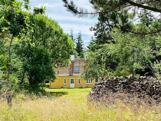 Ferienhaus Skiveren Außenaufnahme 7