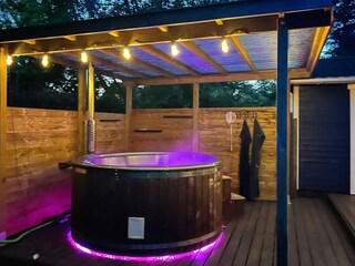 Ferienhaus Gedser  10