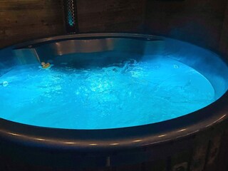 Ferienhaus Gedser  28