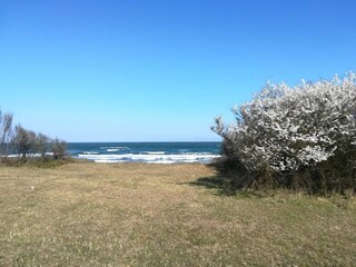 Vakantiehuis Gedser  23