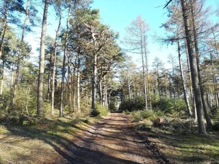 Holiday house Gedser  31