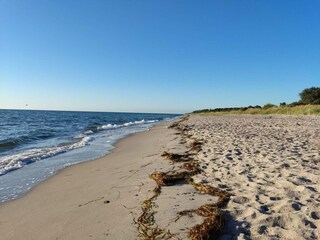 Ferienhaus Gedser  5