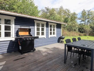Ferienhaus Gedser  38