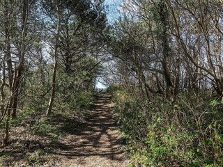 Casa de vacaciones Liseleje  35