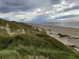 Vakantiehuis Saltum Buitenaudio-opname 15