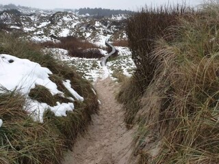 Vakantiehuis Saltum Buitenaudio-opname 17