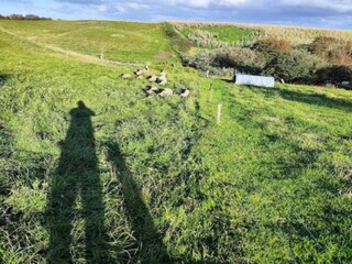 Ferienhaus Saltum Außenaufnahme 18